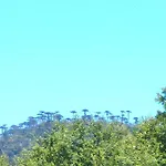 Domos Nahuelbuta